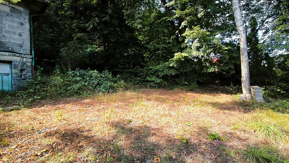 Fotka 6 z 16